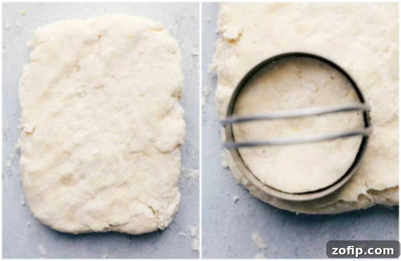 Dough cutter making a perfect circle in the dough for a precisely shaped biscuit.
