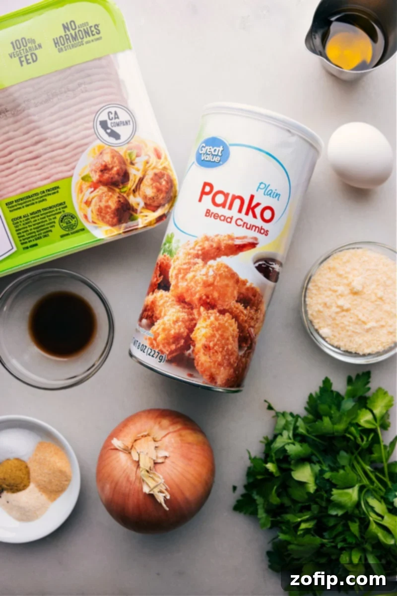 All ingredients for the recipe laid out, including panko, onions, seasonings, meat, and more.