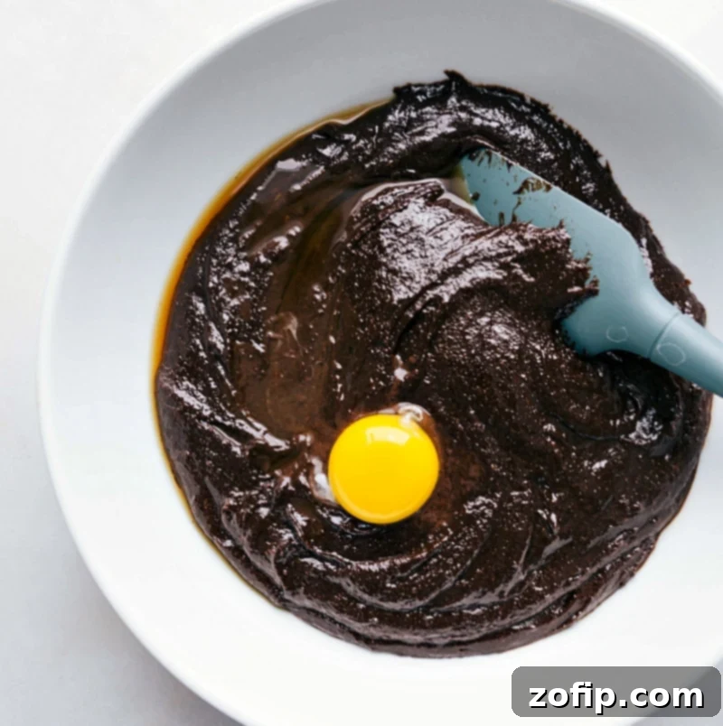 Mixing Wet Ingredients for Rich Gluten-Free Brownie Batter Wet ingredients, including granulated sugar, vanilla extract, and eggs, are being thoroughly mixed into the warm, melted chocolate and butter mixture until it forms a perfectly smooth, glossy, and emulsified brownie batter.