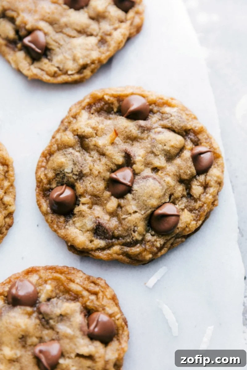 A freshly baked batch of oatmeal coconut cookies, glistening with warm chocolate chips, perfectly golden-brown and inviting.