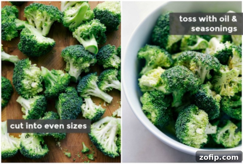 Fresh broccoli pieces being cut into even sizes and tossed with oil and seasonings, the first step in the roasted broccoli recipe.