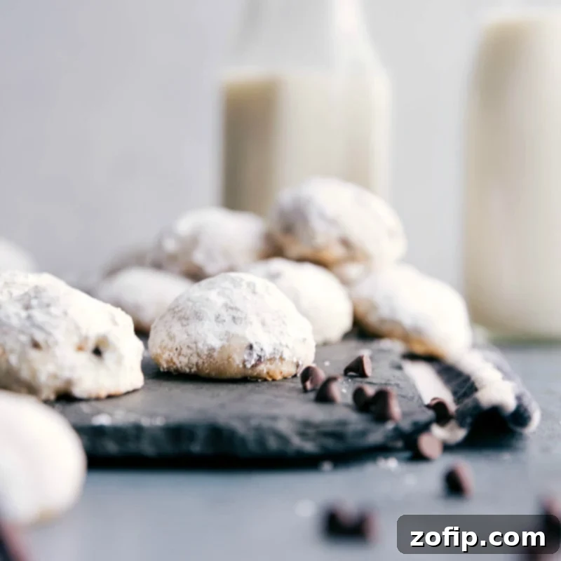 A plate of freshly baked Chocolate Chip Snowball Cookies