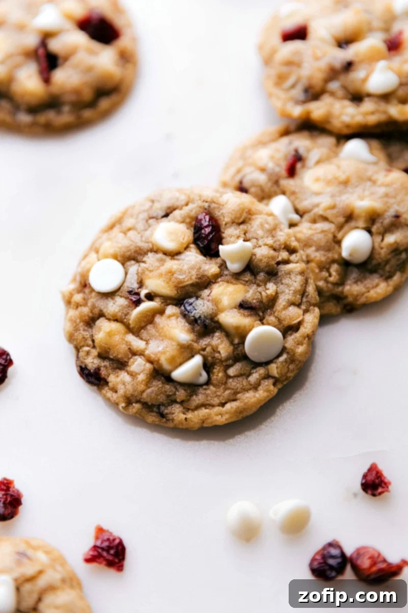 Warm Oatmeal Cranberry Cookies with White Chocolate – A Perfect Blend of Complementary Flavors for Any Occasion Freshly baked oatmeal cranberry cookies with white chocolate chips and dried cranberries, straight from the oven and ready to delight holiday guests.