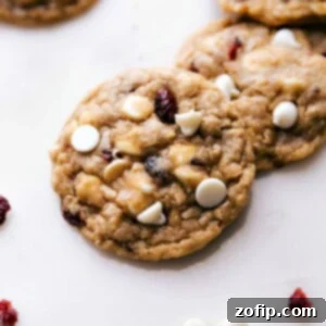 Chewy Cranberry Oatmeal Delights 2 Freshly baked oatmeal cranberry cookies with white chocolate chips and dried cranberries, straight from the oven and ready to delight.