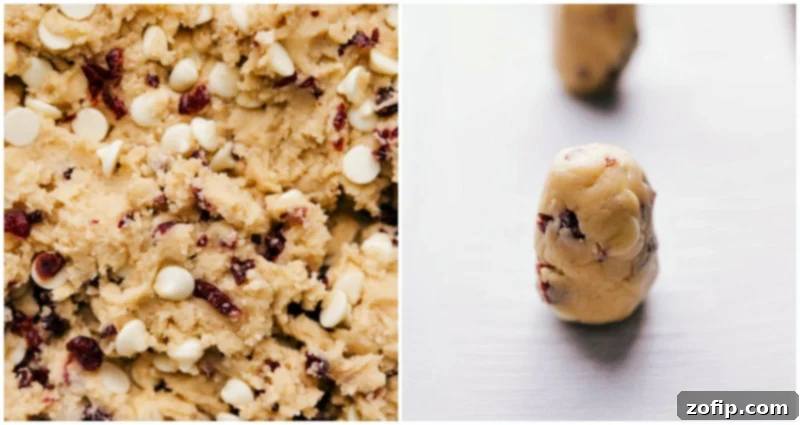 Rolled cookie dough arranged on a sheet pan, perfectly prepped and ready for baking these delicious White Chocolate Cranberry Cookies.