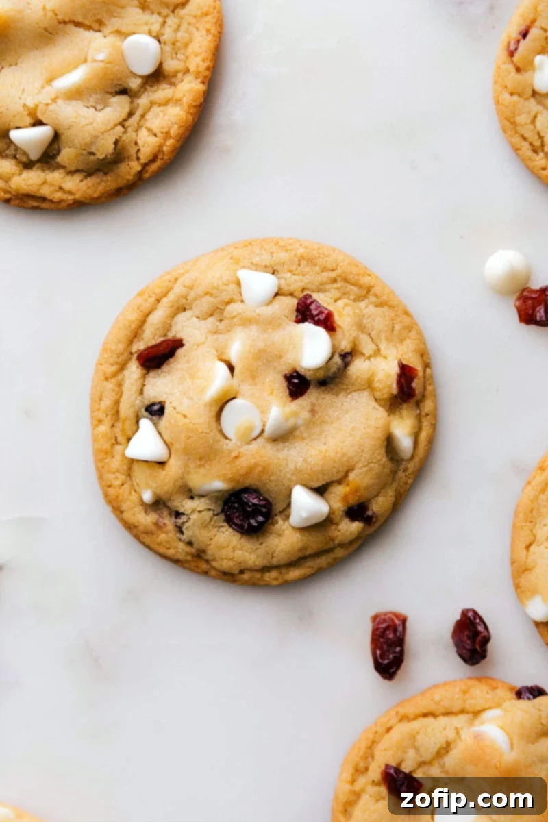 Warm, freshly baked cranberry white chocolate cookies arranged beautifully on a cooling rack, ready for indulgence. Their golden edges and melted chocolate are visible.