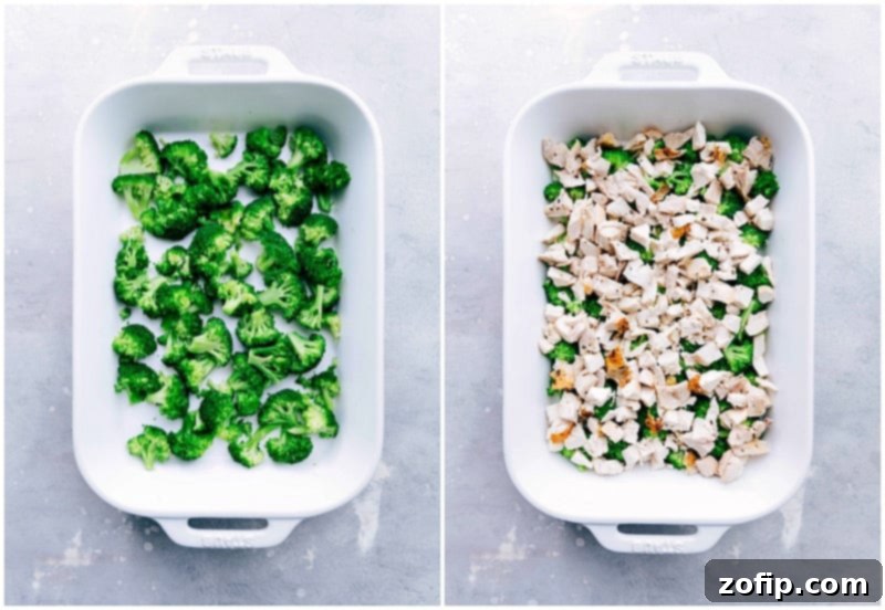 Easy Chicken Divan is a flavorful and cheesy chicken and broccoli casserole Chopped broccoli florets and cooked chicken pieces being gently combined in a large casserole dish, ready for the creamy sauce.