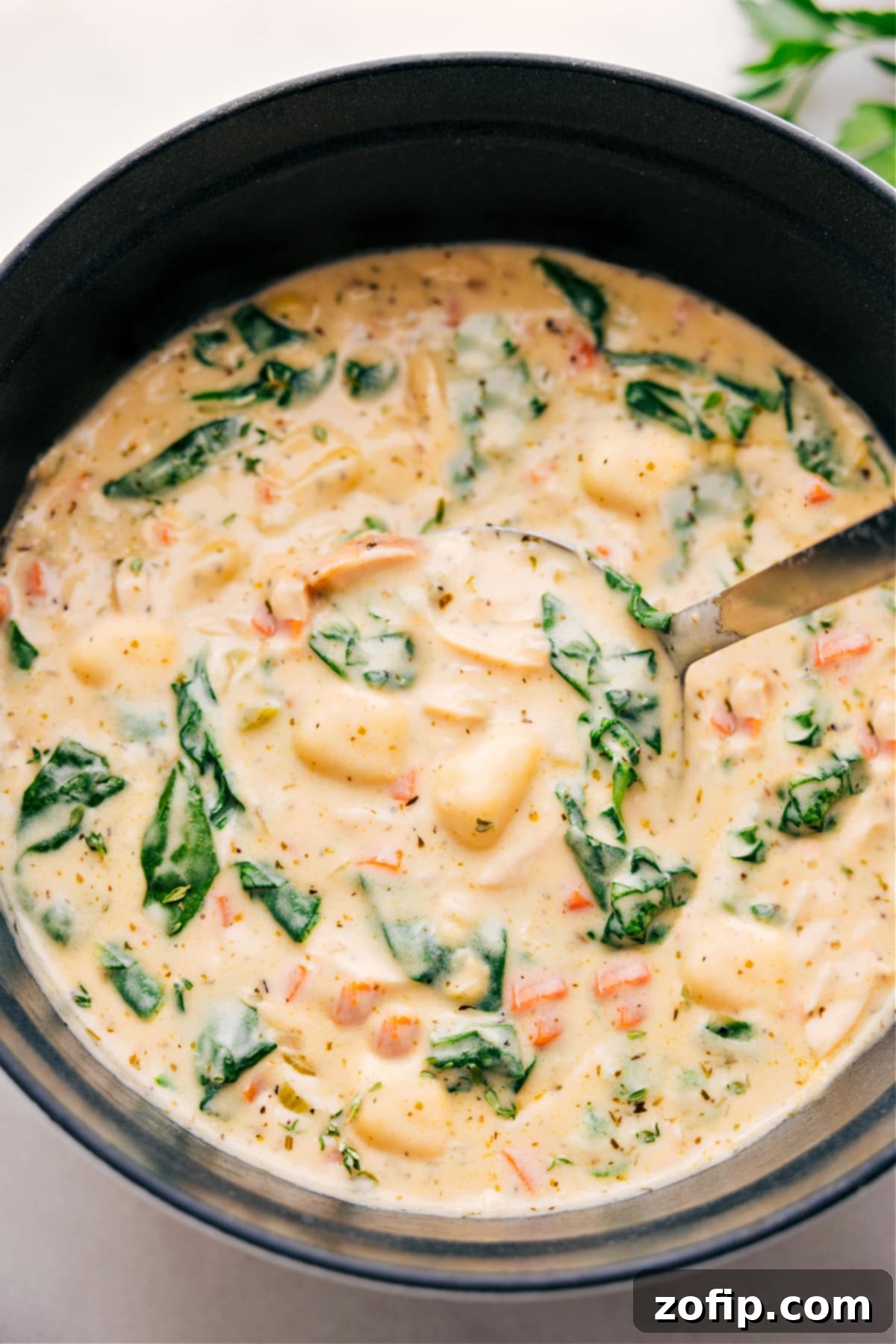 Scooping a generous portion of creamy Chicken Gnocchi Soup from a rustic pot with a ladle. The soup is rich with tender shredded chicken, soft gnocchi, and vibrant green spinach, ready to be served in a warm bowl.