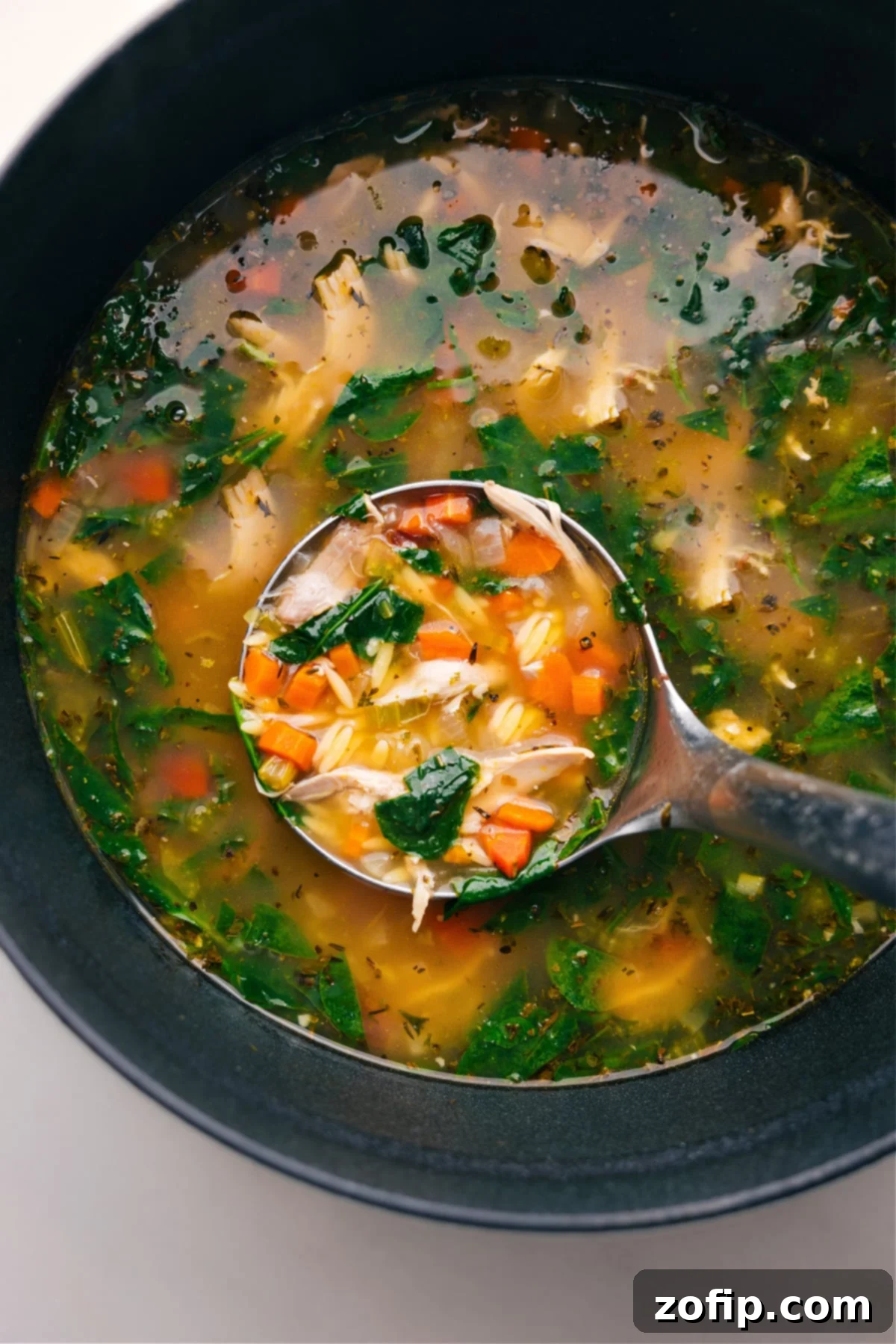 Steaming bowl of Lemon Chicken Orzo Soup, rich with chicken, orzo, and vegetables, ready to be served from a large pot.