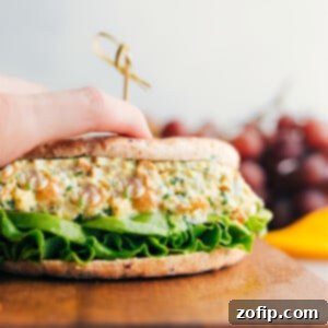 Curry Chicken Salad in a sandwich with lettuce and avocado, showing a perfect mix of flavors and textures.