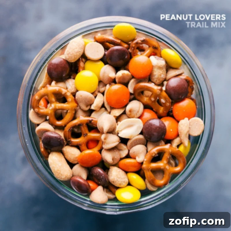 A finished snack, highlighting the delicious harmony of chocolate treats and nutty flavors in a peanut lover's trail mix.