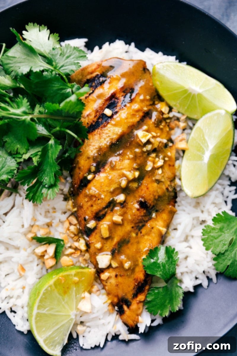 A perfectly plated dish featuring delicious curried grilled chicken served over a bed of aromatic coconut rice, beautifully garnished with fresh lime wedges and vibrant cilantro for a complete and appetizing presentation.