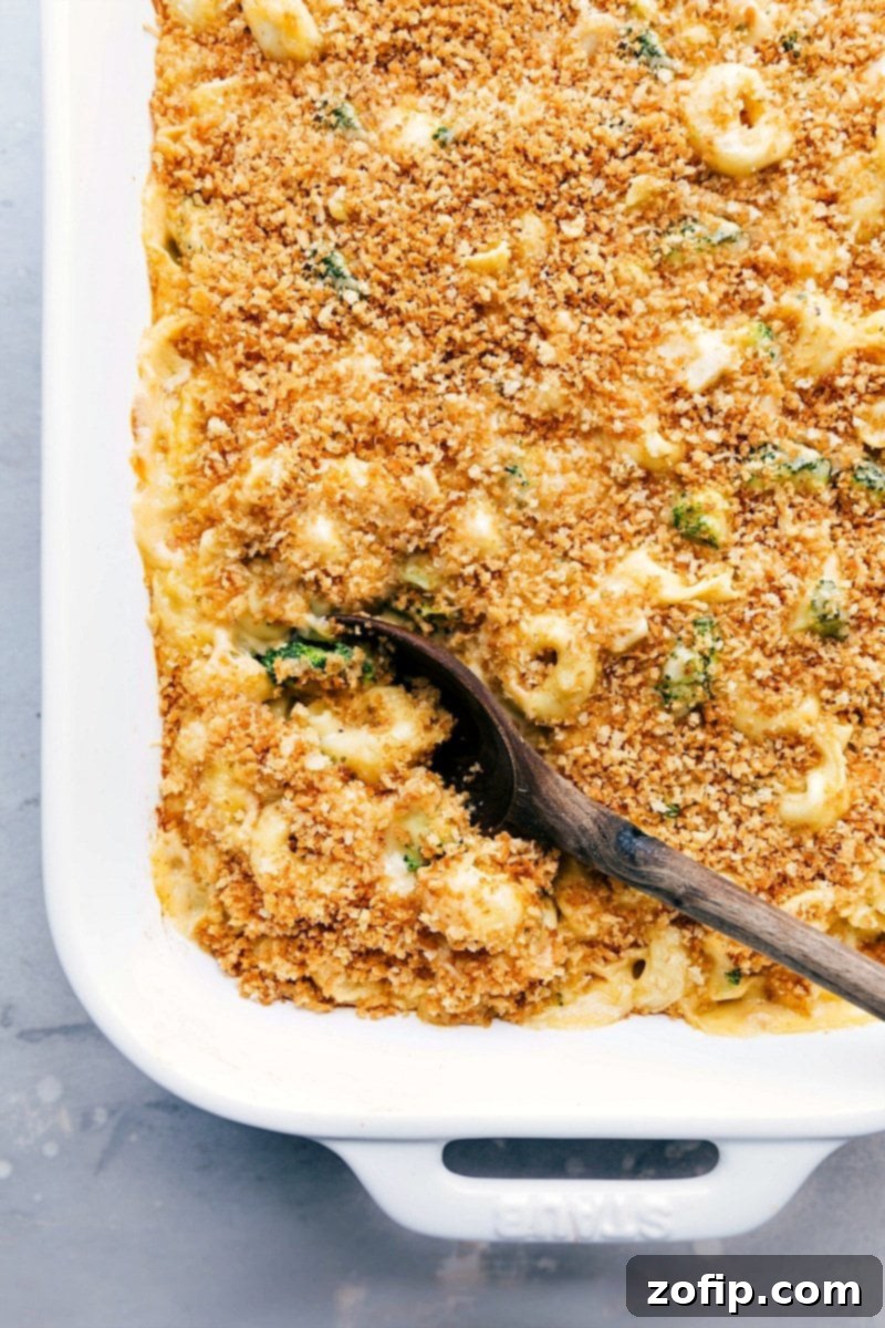 Golden-brown Chicken Tortellini Casserole fresh out of the oven, with melted cheese and a crispy topping.