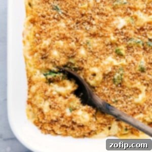 Chicken tortellini in a casserole dish, freshly baked with a golden crust on top.