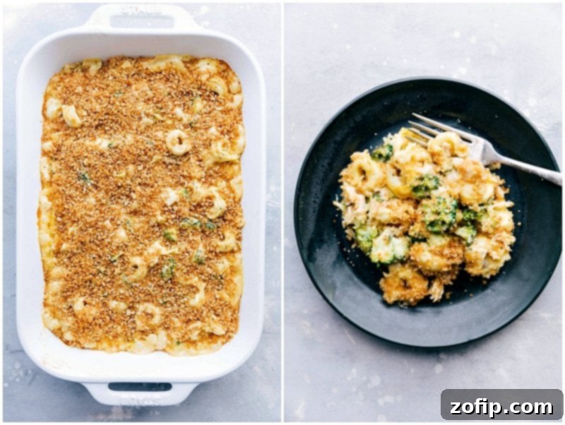 A serving of freshly baked Chicken Tortellini Casserole on a plate, showing the creamy sauce and golden topping.