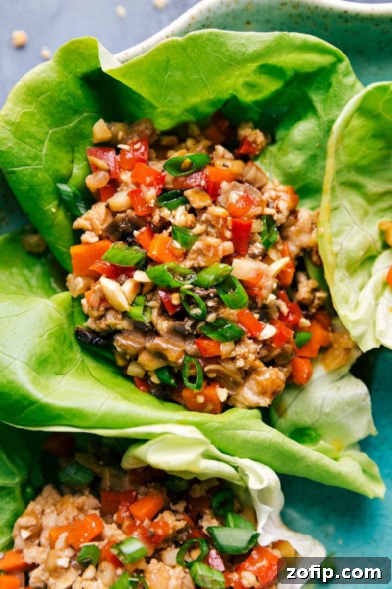 Delicious Chicken Lettuce Wraps Ready to Serve Chicken lettuce wraps garnished with herbs and vegetables, plated beautifully.