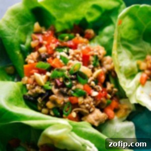 Easy Chicken Lettuce Wraps 3 Chicken lettuce wrap filled with meat and veggie mixture, garnished and ready to eat.