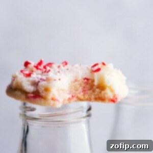 Festive Peppermint Sugar Cookies 6 Soft Peppermint Sugar Cookies with creamy frosting.