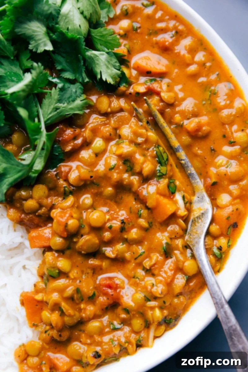 A close-up of savory lentil curry served in a rustic dish with a fork, generously garnished with fresh cilantro, accompanied by a side of fluffy basmati rice. The dish looks inviting and healthy.