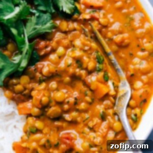 Savory lentil curry in a dish with a fork, accompanied by fresh cilantro and a side of rice.