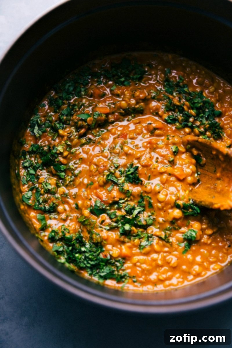A generously portioned bowl of warm, aromatic lentil curry, beautifully garnished with fresh cilantro and served alongside basmati rice, ready to be enjoyed as a hearty and flavorful dinner.