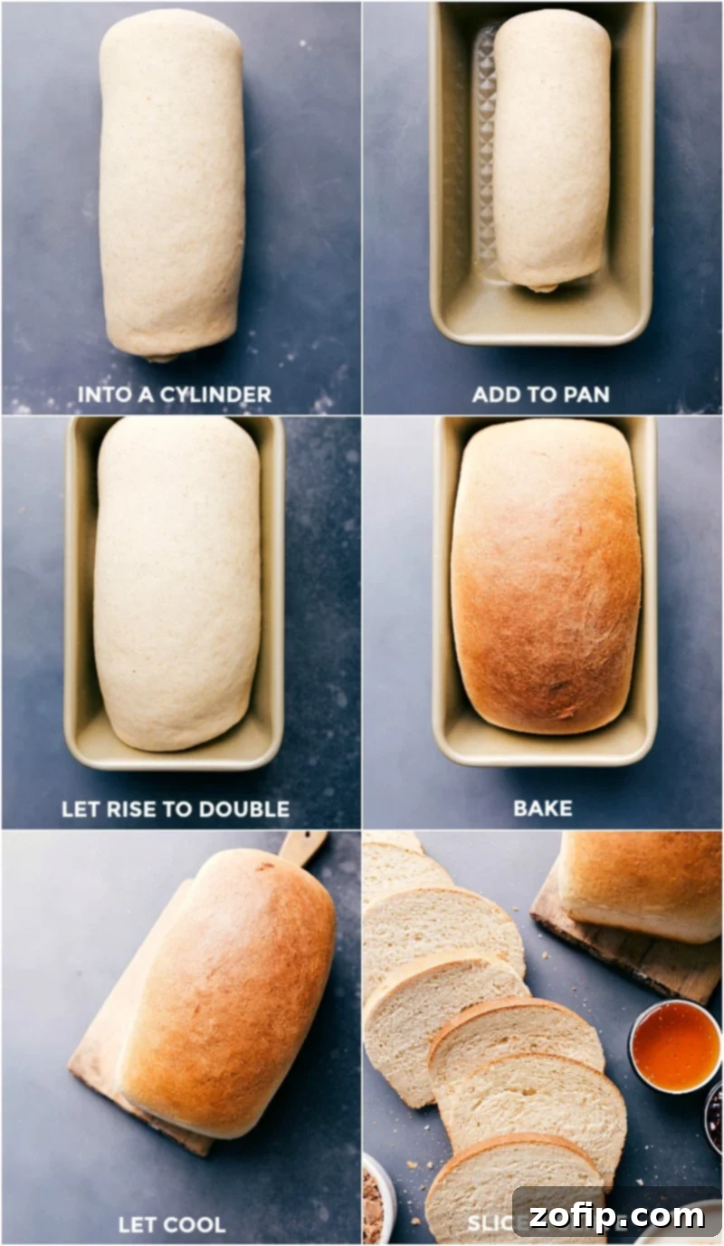 Dough rolled into a cylinder, neatly placed in a prepared bread pan, then allowed to rise before baking and slicing into perfect loaves.