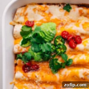 Delicious Vegetarian Enchiladas freshly baked and ready to serve.