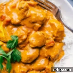 Plate full of butter chicken atop rice, ready for eating.