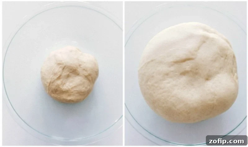 Dough After First Rise Process shot of the dough for Homemade Cinnamon Rolls after its first rise, showing a doubled dough ball.