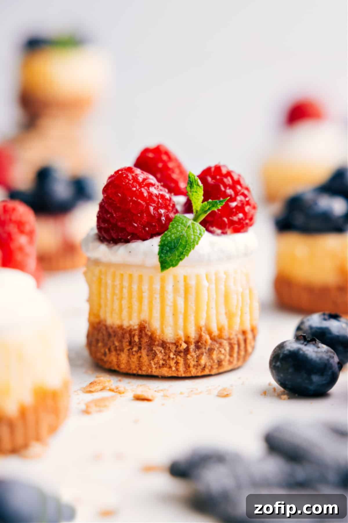 Mini Cheesecake Recipe topped with fresh whipped cream, raspberries, and mint.