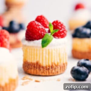 A freshly baked mini cheesecake, ready to be topped.