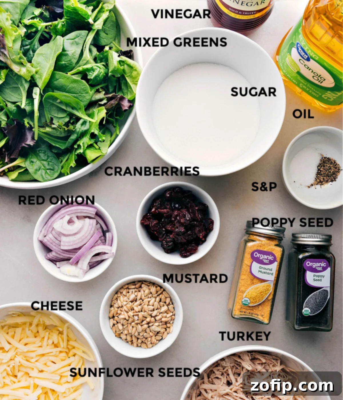 Delicious Ingredients for Turkey Cranberry Salad Fresh ingredients laid out for Turkey Cranberry Salad preparation, including mixed greens, shredded turkey, dried cranberries, sunflower seeds, red onion, mozzarella, and a bowl of poppyseed dressing.