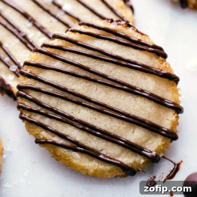 Exquisitely crafted shortbread cookies generously adorned with a luscious chocolate drizzle, ready to be enjoyed.