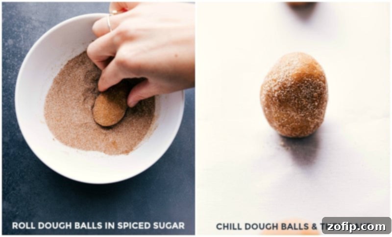 Dough balls of the best pumpkin cinnamon roll cookies being rolled in cinnamon sugar and placed on a baking pan.