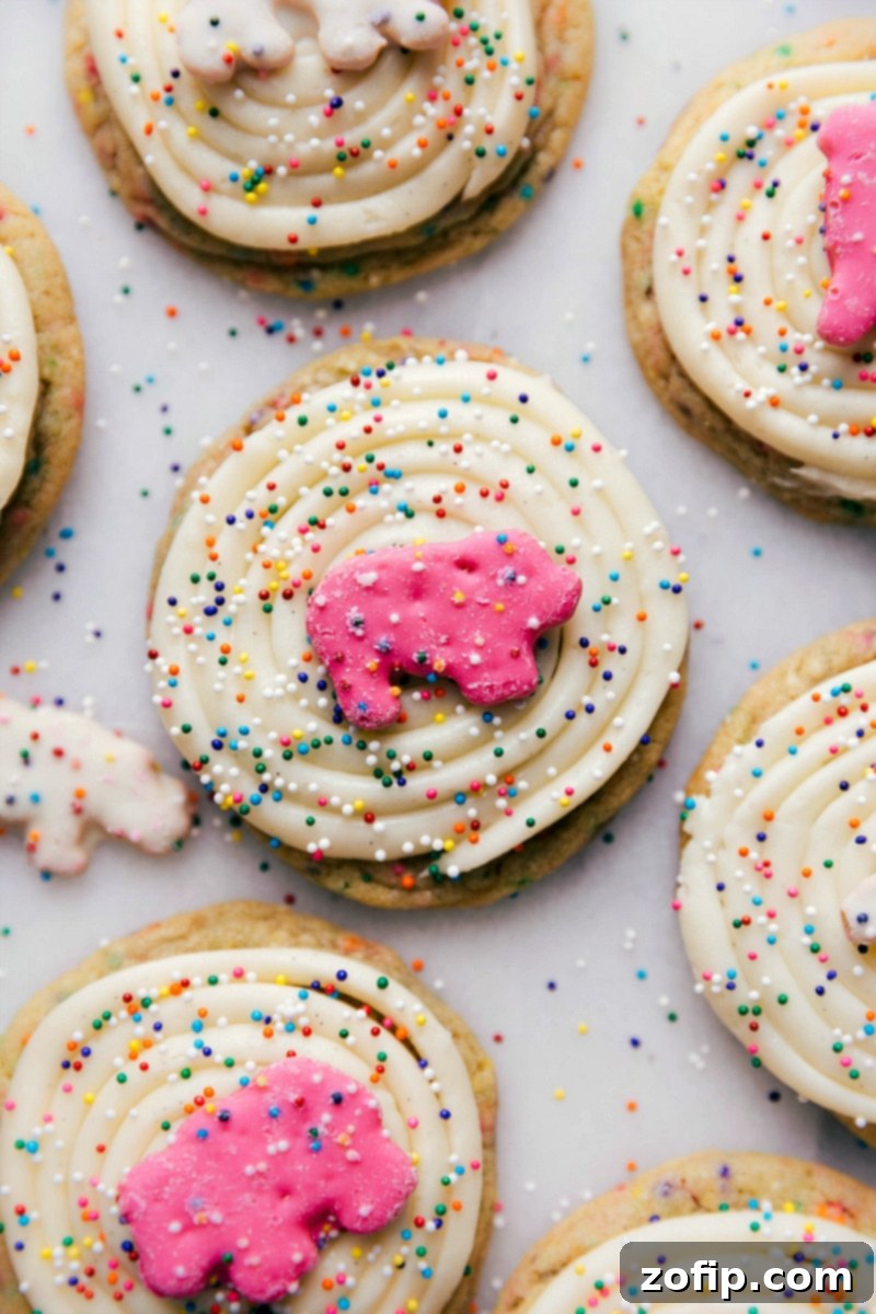 Finished, beautifully decorated Circus Animal Cookies, generously frosted and topped with colorful sprinkles, showcasing their festive appeal.