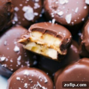 Delicious Banana Bites, a mix of chocolate-covered and banana sushi styles, ready to be enjoyed.