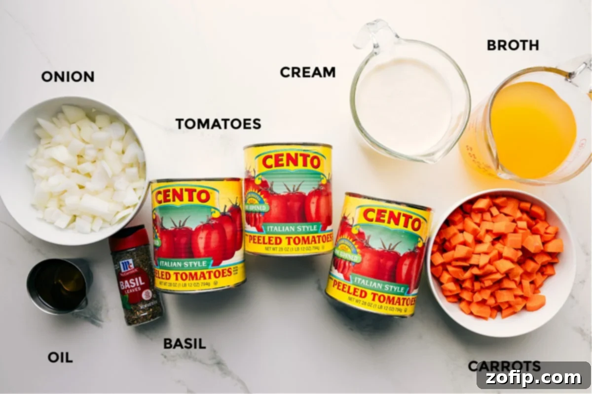 Ingredients In Easy Creamy Tomato Soup Recipe All the essential ingredients for this easy creamy tomato soup recipe, including fresh basil, quality canned tomatoes, heavy cream, chicken broth, and aromatics like onion and carrots, neatly prepped for cooking.