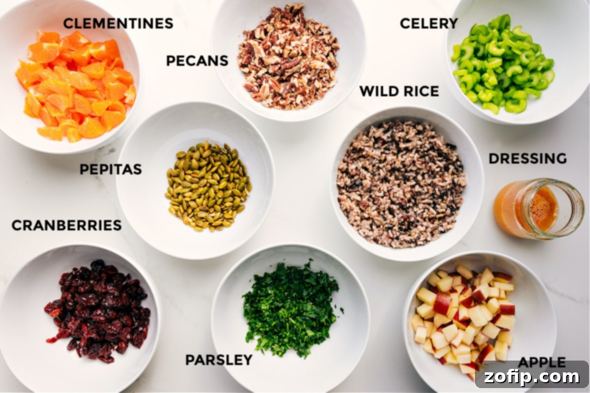 Ingredients In Wild Rice Pilaf A collection of fresh ingredients laid out, including clementines, pecans, pepitas, dried cranberries, fresh parsley, wild rice blend, apple, and celery, all ready for the Cranberry Orange Wild Rice Pilaf.