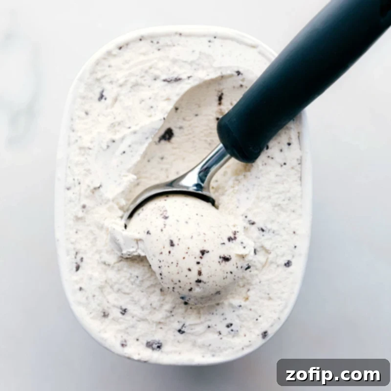 Ice Cream Sandwich Dream 5 A container of creamy cookies and cream ice cream with a metal scoop digging into it, poised to be spread onto the cake layers.