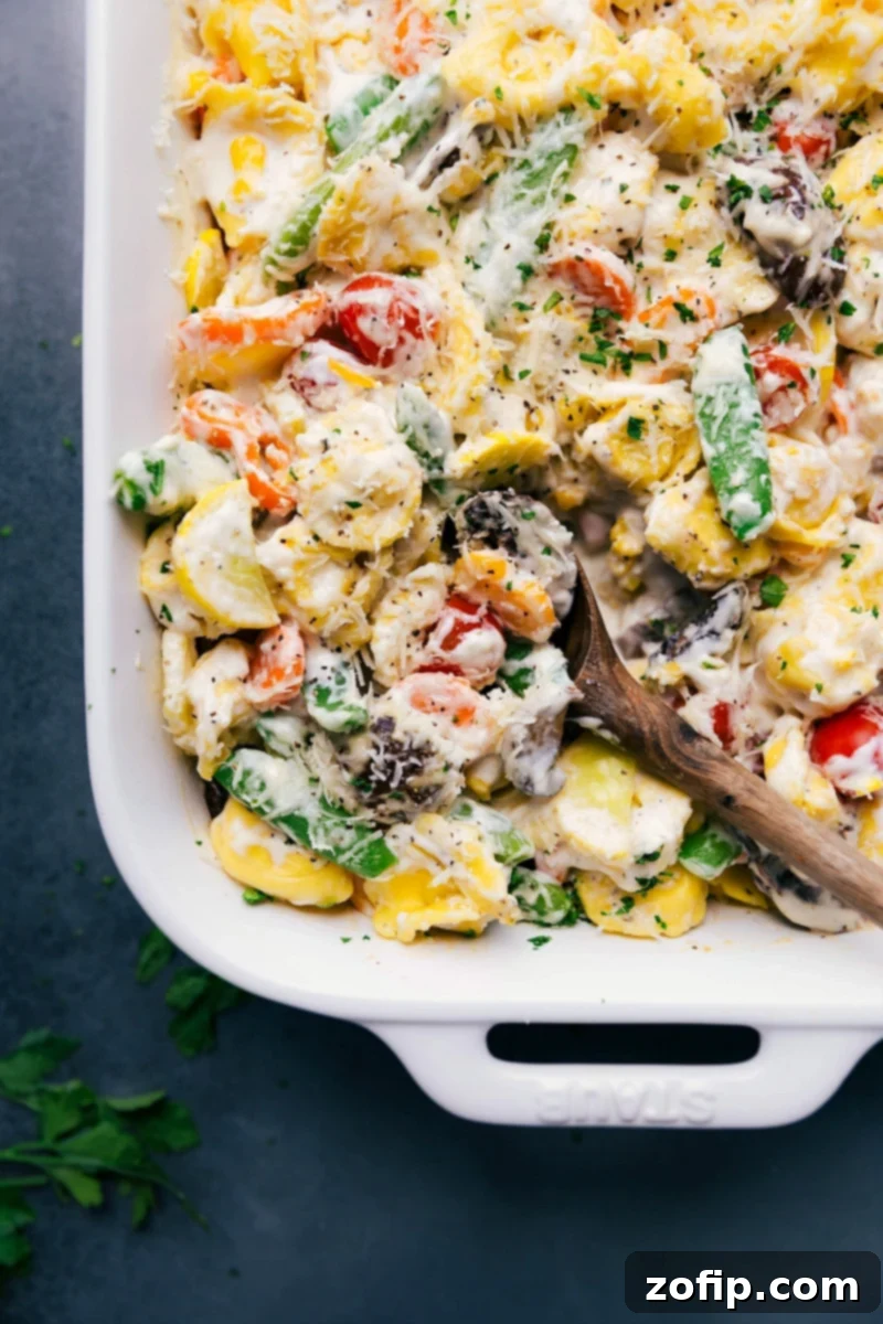 The finished tortellini casserole, delicious and cheesy, bursting with color and flavor. Golden-brown cheese topping with fresh herbs.