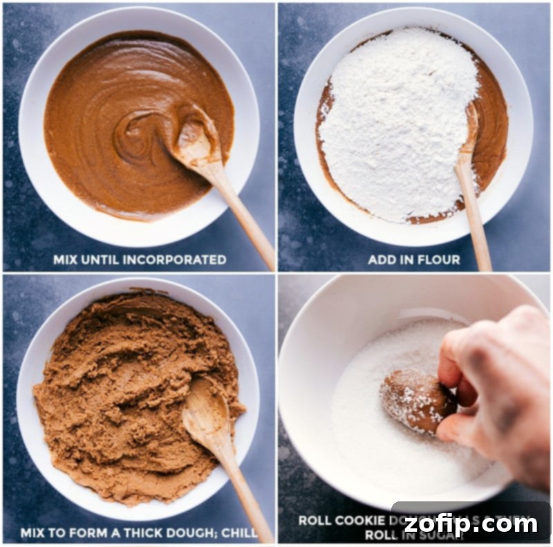 Process shots: mixing gingersnap dough, chilling, and rolling dough balls in sugar.