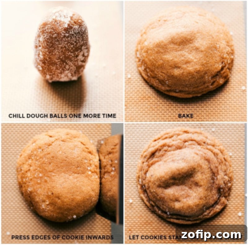 Detailed process shots: chilling sugar-coated gingersnap dough, baking, and pressing edges for crispness, then cooling on the sheet.