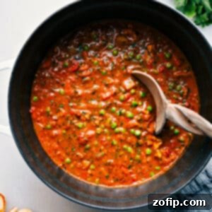 Beautifully plated Vegetable Masala, garnished with fresh herbs, ready to be served with rice and naan.