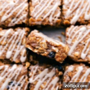 Blueberry Oatmeal Bars