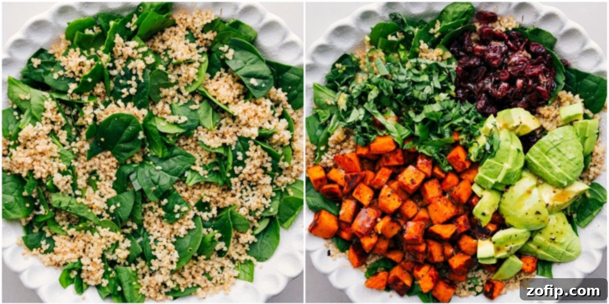 The step-by-step assembly of the Sweet Potato Quinoa Salad: fresh greens and fluffy quinoa are mixed in a large bowl, then topped with tender roasted sweet potatoes, fragrant basil, creamy avocado slices, and sweet cranberries, all ready for the zesty dressing.