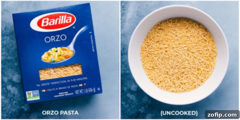Understanding Orzo Pasta for Your Recipes A close-up of uncooked orzo pasta, resembling grains of rice, ready for cooking