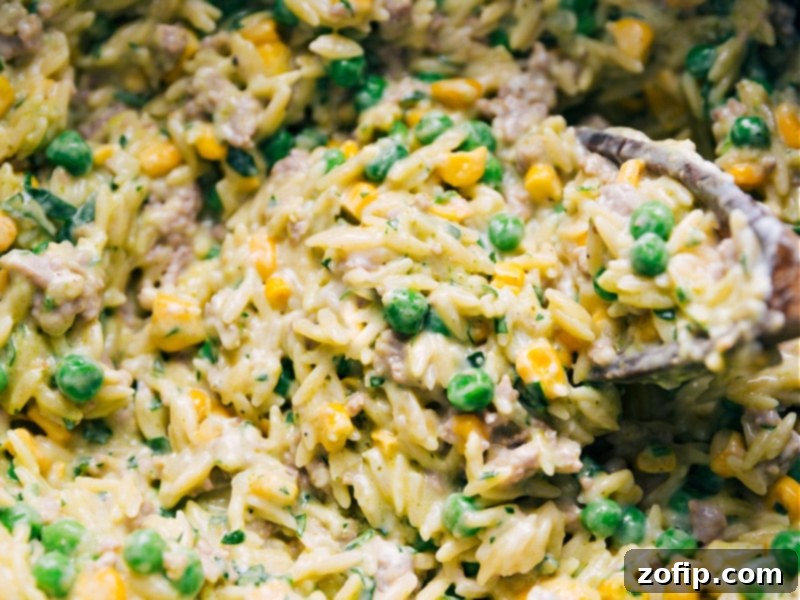 The Best Ever 30-Minute Creamy Pesto Orzo - Ready to Enjoy! A close-up, appetizing view of a serving of Creamy Pesto Orzo in a bowl, garnished with fresh herbs, ready to be enjoyed