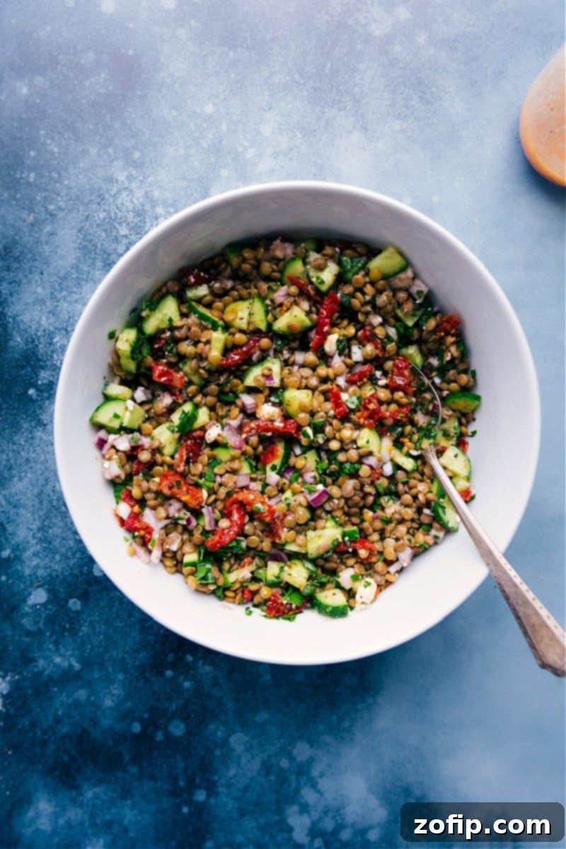 A vibrant and fresh Lentil Salad in a white bowl, generously garnished with bright green cucumbers and rich red sun-dried tomatoes, showcasing a perfect healthy meal.