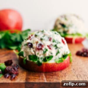Delicious Easy Tuna Salad with cranberries and fresh herbs