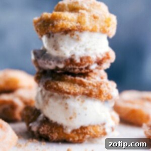 A beautifully plated Churro Ice Cream Sandwich, showcasing the golden-brown churros and creamy ice cream filling, with a hint of cinnamon sugar.